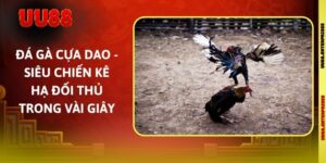 Đá Gà Cựa Dao - Siêu Chiến Kê Hạ Đối Thủ Trong Vài Giây